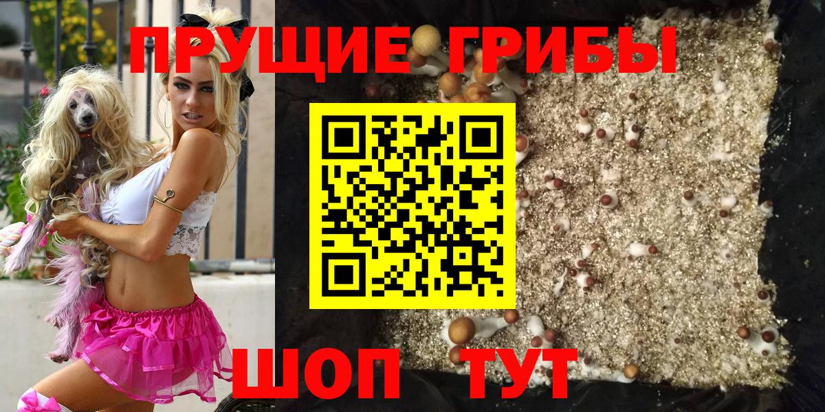 Псилоцибиновые грибы Magic Shrooms  Вход с VPN  Гулькевичи 